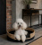Лежанка плетеная для животных цвет бежевый/черный Лежанка плетеная для животных цвет бежевый/черный