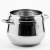 800-104 Скороварка 5 л, индукция, нержавеющая сталь, Home Perfect 800-104 Скороварка 5 л, индукция, нержавеющая сталь, Home Perfect